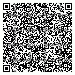 vCard 79393013180