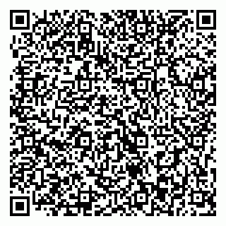vCard 79393013181