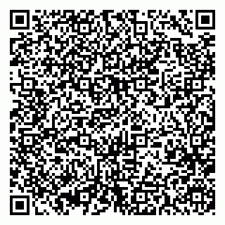 vCard 79393013187