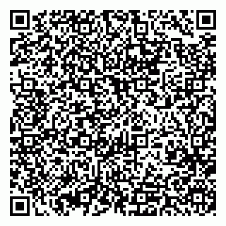 vCard 79393013200