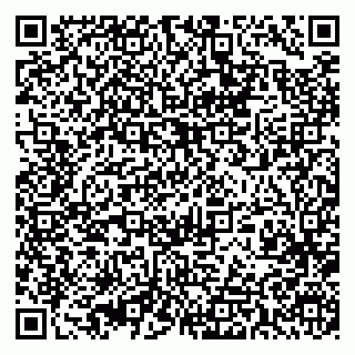 vCard 79393013203