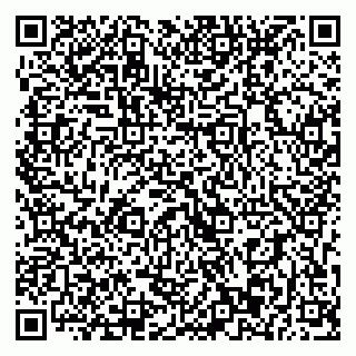 vCard 79393013206