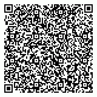 vCard 79393013208