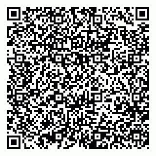 vCard 79393013209