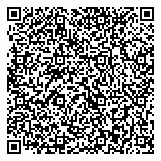 vCard 79393013210