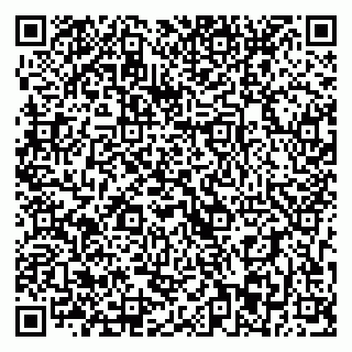 vCard 79393013229