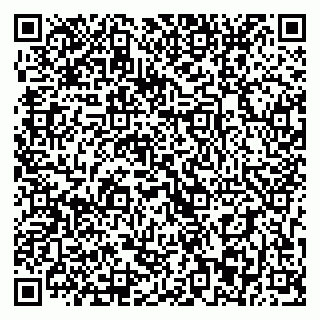vCard 79393013248