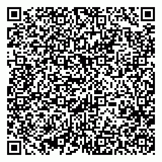 vCard 79393013273