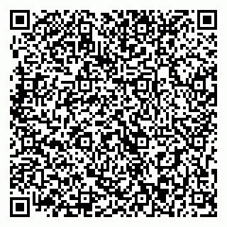 vCard 79393013303