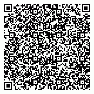 vCard 79393013304