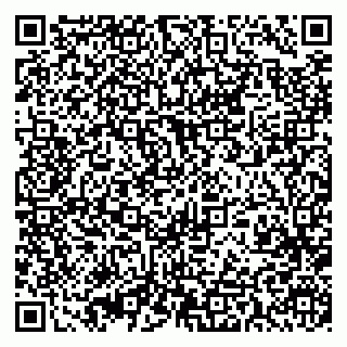 vCard 79393013307