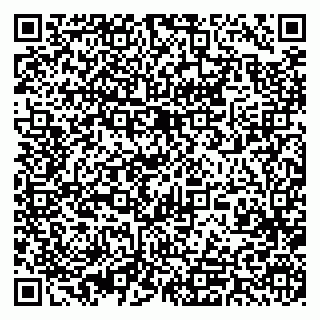 vCard 79393013310