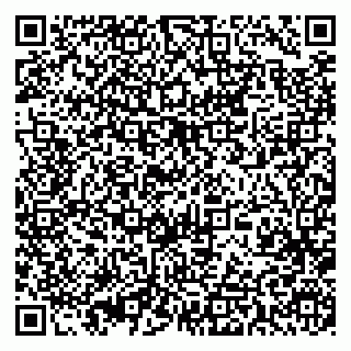 vCard 79393013313