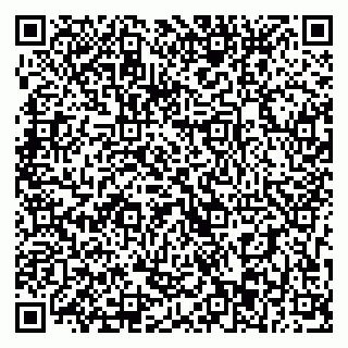 vCard 79393013315