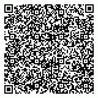 vCard 79393013317