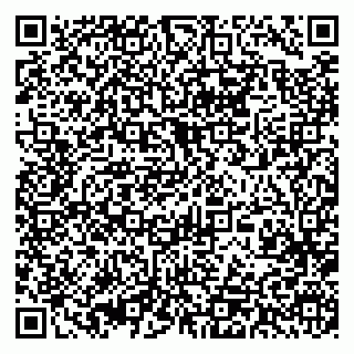 vCard 79393013319