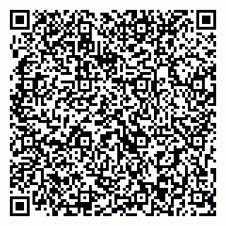 vCard 79393013321