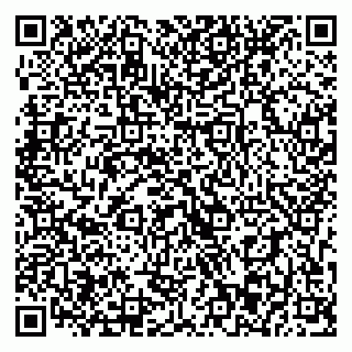 vCard 79393013322