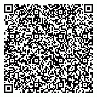 vCard 79393013328