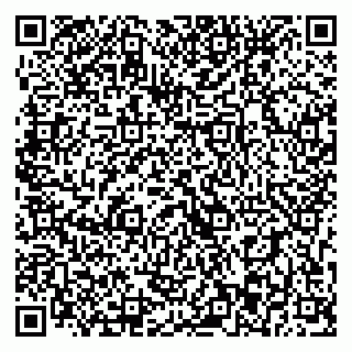 vCard 79393013331