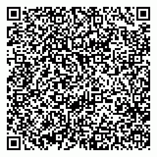 vCard 79393013333