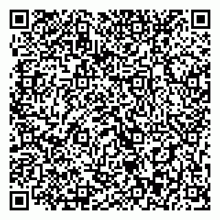 vCard 79393013342