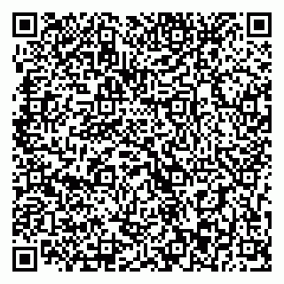 vCard 79393013371
