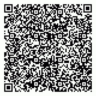vCard 79393013377