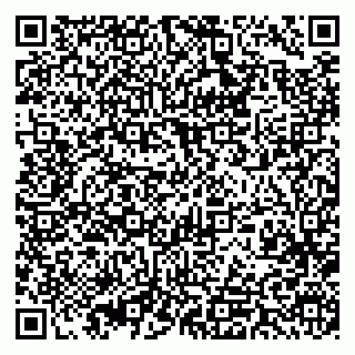 vCard 79393013380