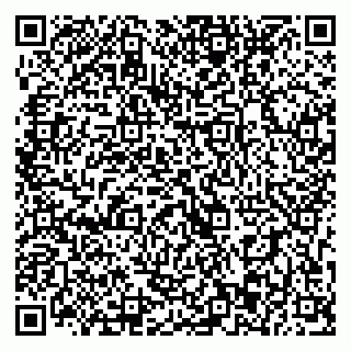vCard 79393013384