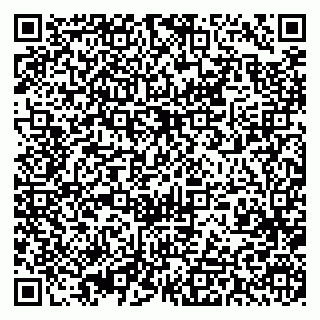 vCard 79393013385