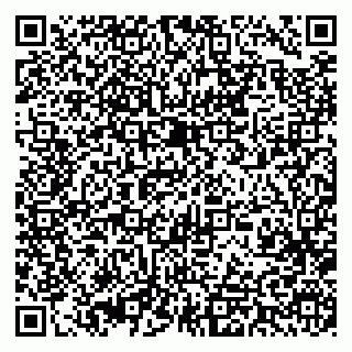 vCard 79393013391