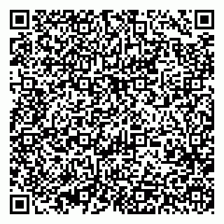 vCard 79393013399