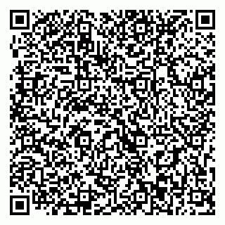 vCard 79393013405