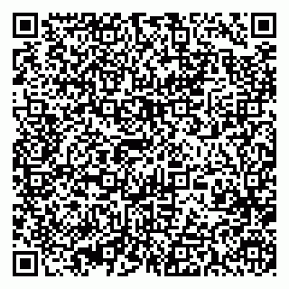 vCard 79393013417