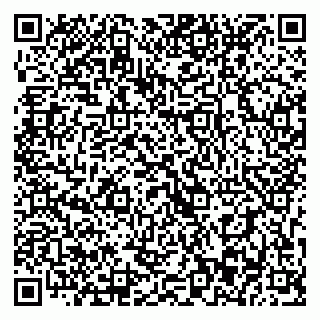 vCard 79393013502