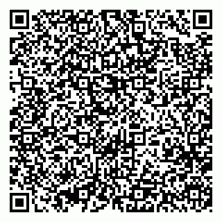vCard 79393013509