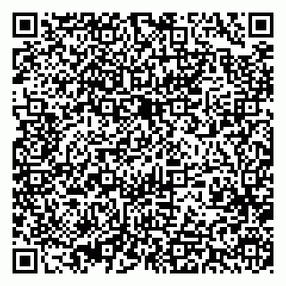 vCard 79393013521