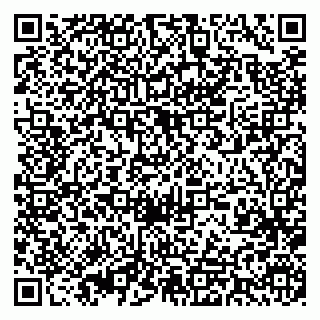 vCard 79393013531