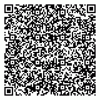 vCard 79393013537