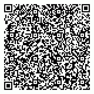 vCard 79393013538