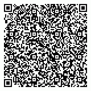 vCard 79393013575