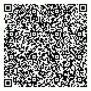 vCard 79393013580