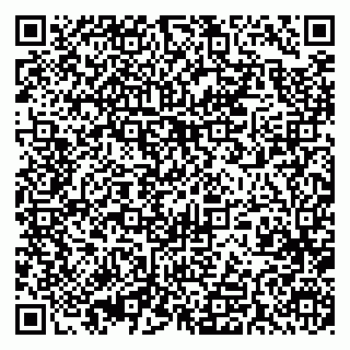 vCard 79393014004