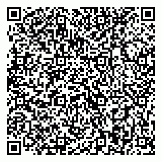 vCard 79393014028