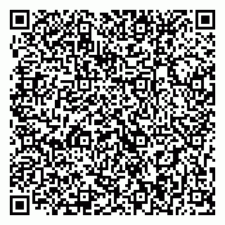 vCard 79393014031