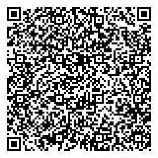 vCard 79393014102