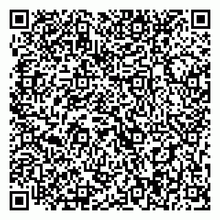 vCard 79393014321