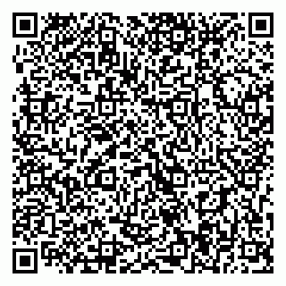 vCard 79393014411