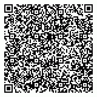 vCard 79393014521